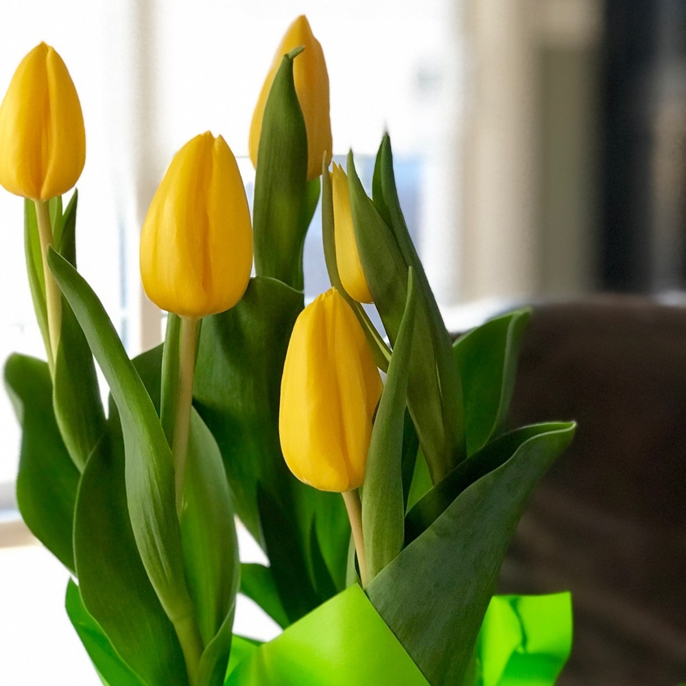 Meet your fellow posher, Christina